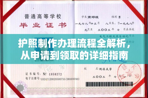 阳江护照制作办理流程全解析，从申请到领取的详细指南